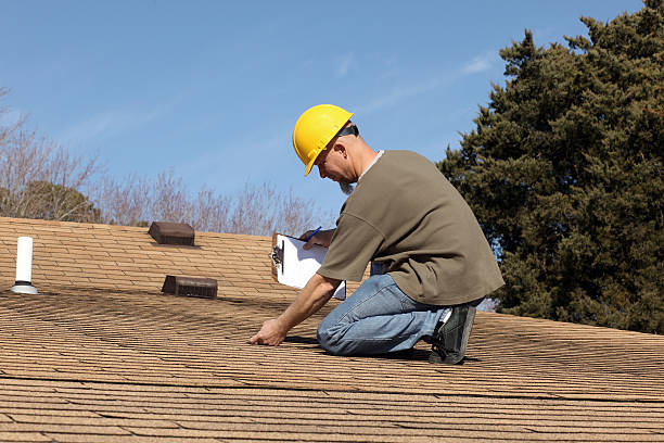 Best Roof Moss and Algae Removal  in Grandview, OH